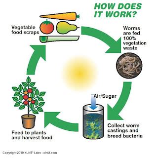 Horticulture: Composting