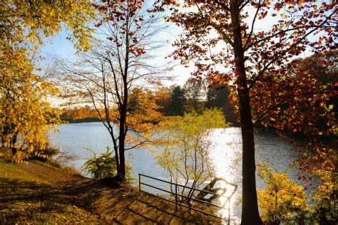 lake in burke va