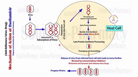 Topic (47) Antiviral Drugs | Oseltamivir Anti Influenza Virus ...