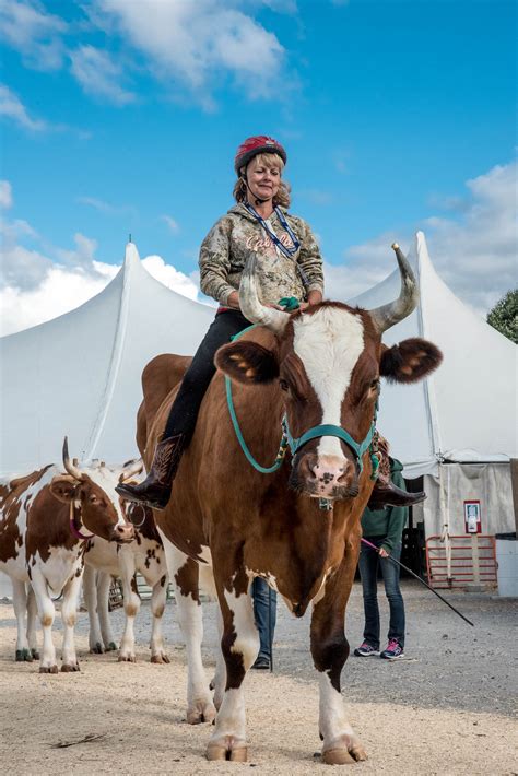 PHOTO GALLERY: A day at the Champlain Valley Fair - VTDigger