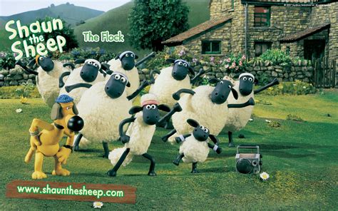 shaun the sheep - Timmy Time And Shaun The Sheep Photo (33154749) - Fanpop