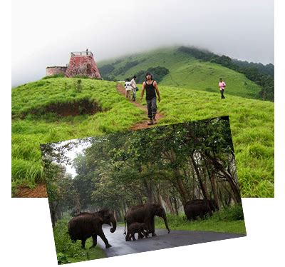 Blog | 15 Reasons Why Visiting Coorg Should Be On Your Bucket List