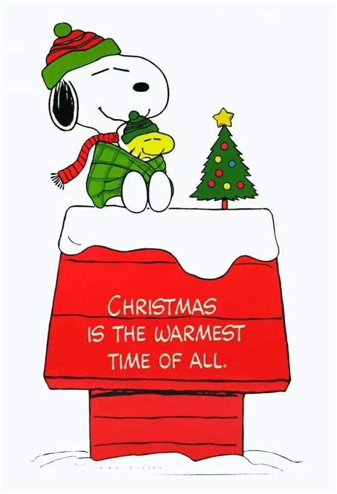 Christmas-Snoopy & Woodstock | I love Christmas! | Pinterest