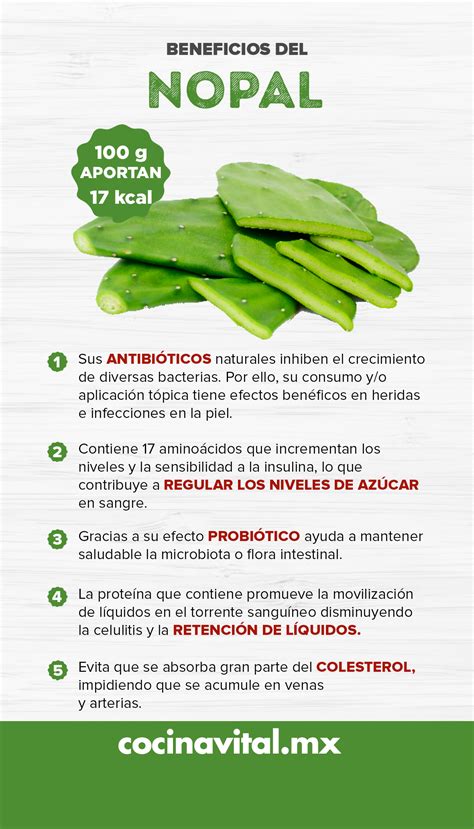 8 beneficios del nopal para tu salud que debes conocer - Cocina Vital - ¿Qué cocinar hoy? en ...