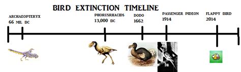 extinct bird timeline