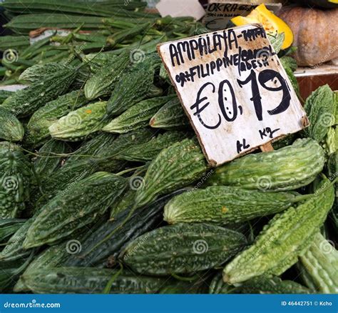 Ampalaya Stock Photography | CartoonDealer.com #46168520