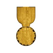 Gold Medallion PNG Image - PNG All | PNG All