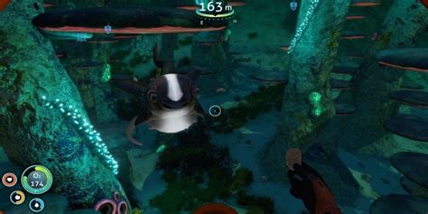 Subnautica: Where to Find Cuddlefish Eggs | Screen Rant