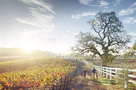 Wine Country Hotels Offering Discounts and Feel-Good Incentives | Visit California