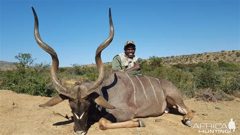 South Africa Kudu Hunting | AfricaHunting.com