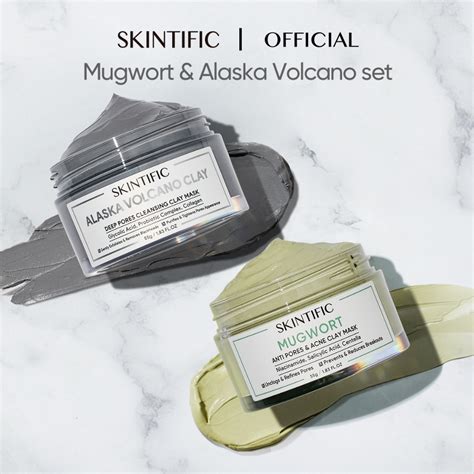 SKINTIFIC 2pcs Clay Mask Kit Mugwort Clay Mask Acne Spot & Alaska ...