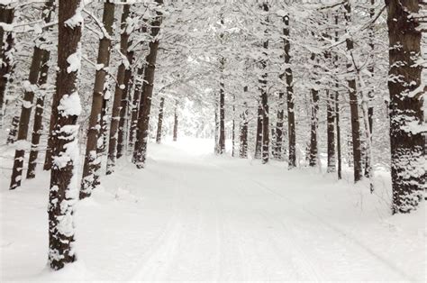 snowy roads | Tug Hill Tomorrow Land Trust