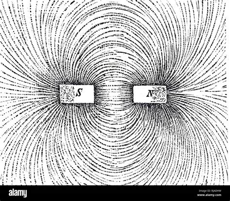 A diagram showing the lines of magnetic force demonstrated by using two ...