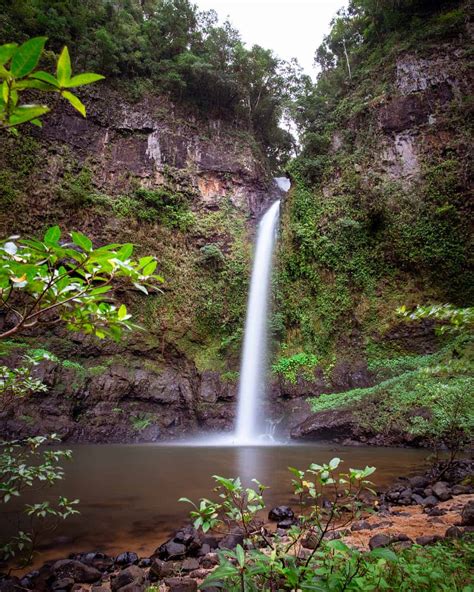 Best Waterfalls near Cairns: 17 Waterfalls You HAVE To See ⋆ We Dream ...