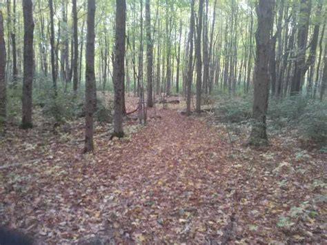 John Bryan State Park Mountain Bike Trail in Yellow Springs, Ohio ...