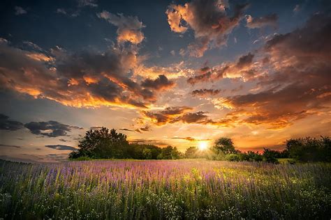 HD wallpaper: field, summer, sunset | Wallpaper Flare