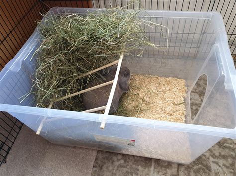 DIY - Made a litter box with integrated hay feeder : r/Rabbits