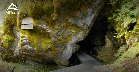 Best Trails in Oregon Caves National Monument | AllTrails