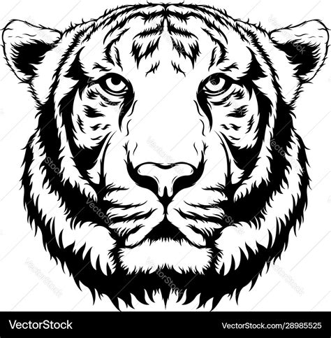 White tiger face tattoo design Royalty Free Vector Image