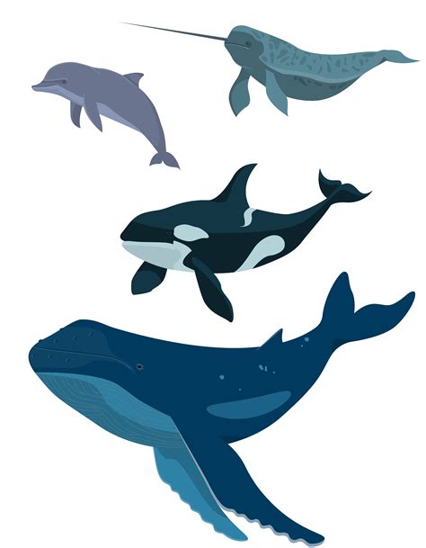 Set of sea animals 1314088 Vector Art at Vecteezy