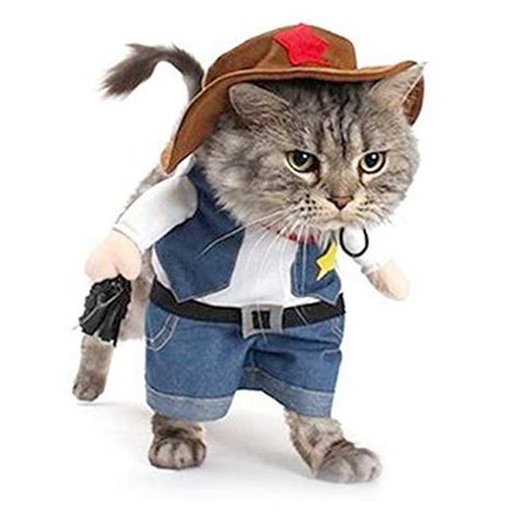 21 Best Halloween Costumes for Cats 2021 - Cute Cat Halloween Costume Ideas