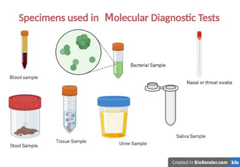 Molecular Diagnostics Tests- Definition, Principle, Types, Instruments ...