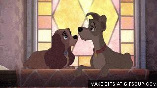 Lady And The Tramp GIF - Find & Share on GIPHY