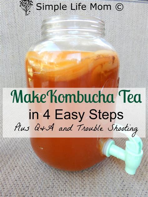 How to Make Kombucha – Easy Step by Step Instructions - Simple Life Mom