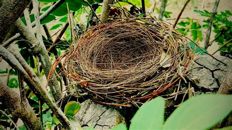 You officially have an empty nest... now what? - The Downsized Life