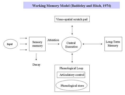 Pengertian Working Memory (Working Term Memory)