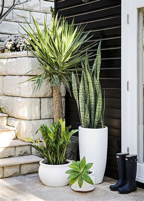 Planting Ideas For Outdoor Pots | 2019 Landscaping Ideas In Luxembourg