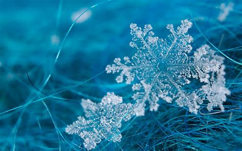 Blue Snowflake Cool Image Wallpaper Wallpaper | WallpaperLepi