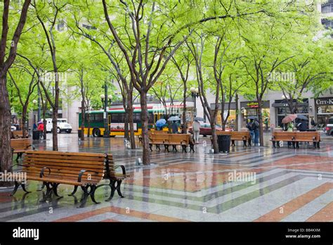 WA, Seattle, Westlake Center, Waiting for the bus, a rainy Seattle day ...