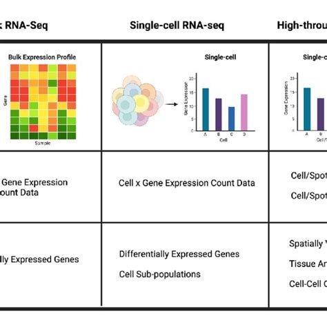 Comparison of bulk RNA-seq, single-cell RNA-seq, and high-throughput ...