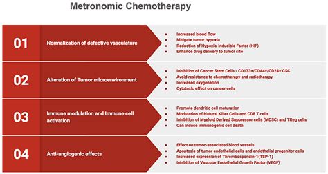 Metronomic Chemotherapy in Oral Cancer: A Review | Cureus