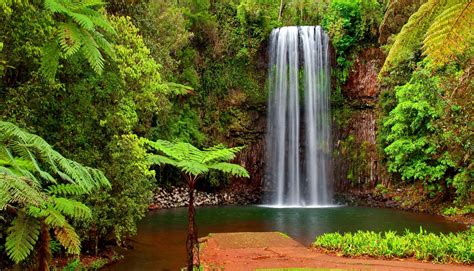 Fond d'écran : paysage, cascade, vert, jungle, courant, forêt tropicale, arbre, l'automne ...