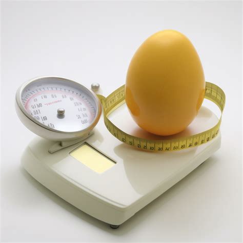 5 Benefits of Eggs for Weight Loss – Happy Gut