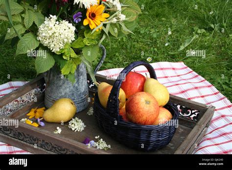 basket fruit apples Stock Photo - Alamy