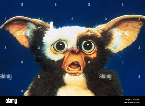 Gizmo From Gremlins