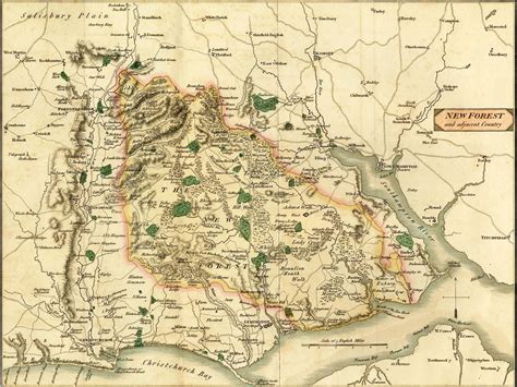 New Forest | New forest england, New forest, England map