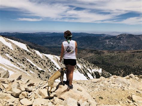 Best Hiking Trails in Big Bear Lake - The Hungry Mountaineer