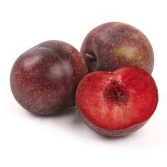 Plumcot Varieties - HEB