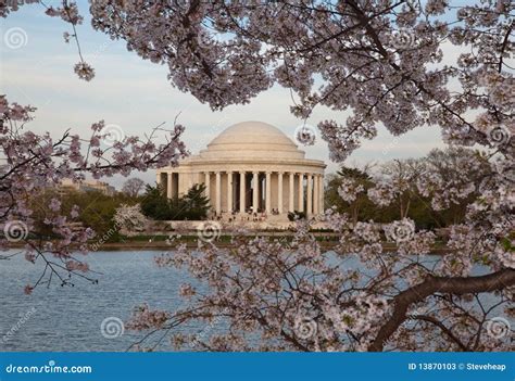 Jefferson Memorial Behind Cherry Blossom Stock Image - Image of blooming, blossom: 13870103