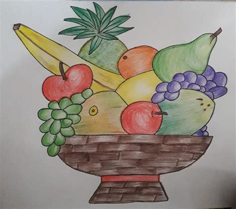 Fruit basket | Basket drawing, Fruit basket drawing, Fruits drawing