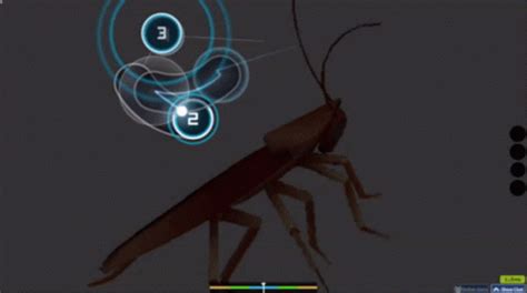 Dancing Retard Roach GIF - Dancing Retard Roach - Discover & Share GIFs