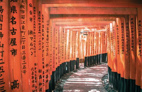 The most iconic torii gates in Japan you need to see