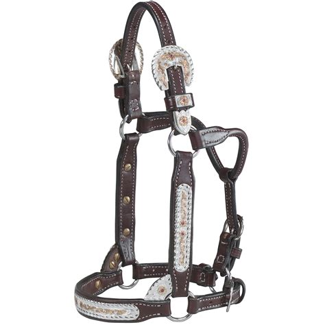 Custom Weanling Halter 26B – Harris Leather & Silverworks | Legendary Handmade Saddles and Silver