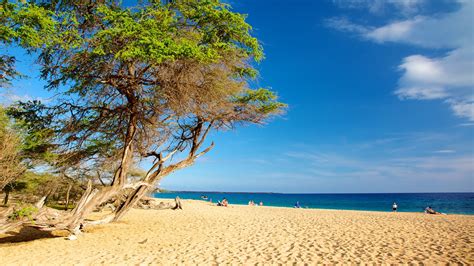 The Best Hotels Closest to Makena State Park Beach in Kihei for 2021 ...