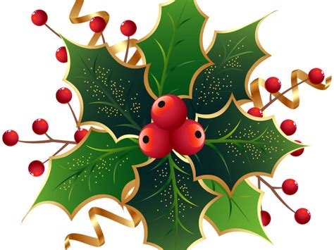 Holly clipart holly and ivy, Holly holly and ivy Transparent FREE for ...