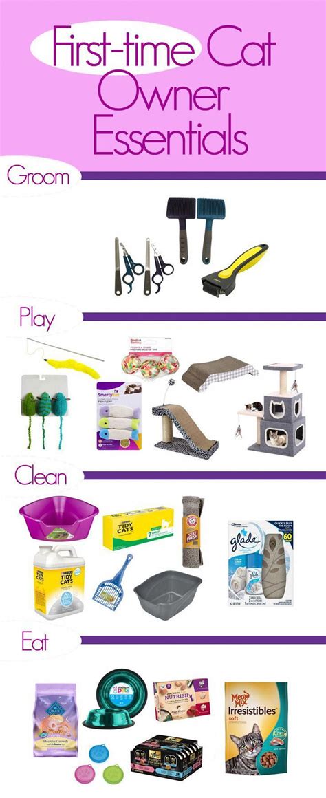 There are a lot of essentials your new kitten needs, as well as a few things that are just fun ...